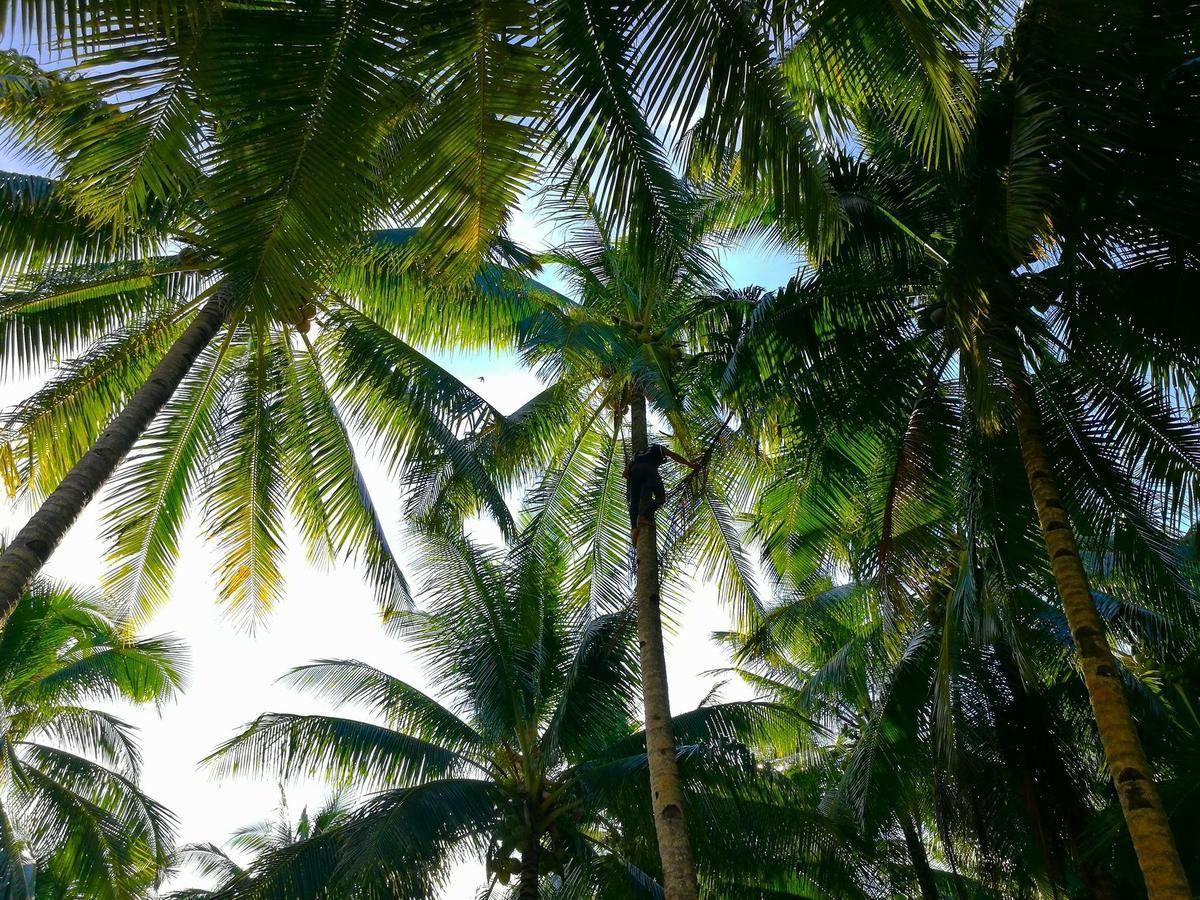 דירות Union  Siargao Residency מראה חיצוני תמונה