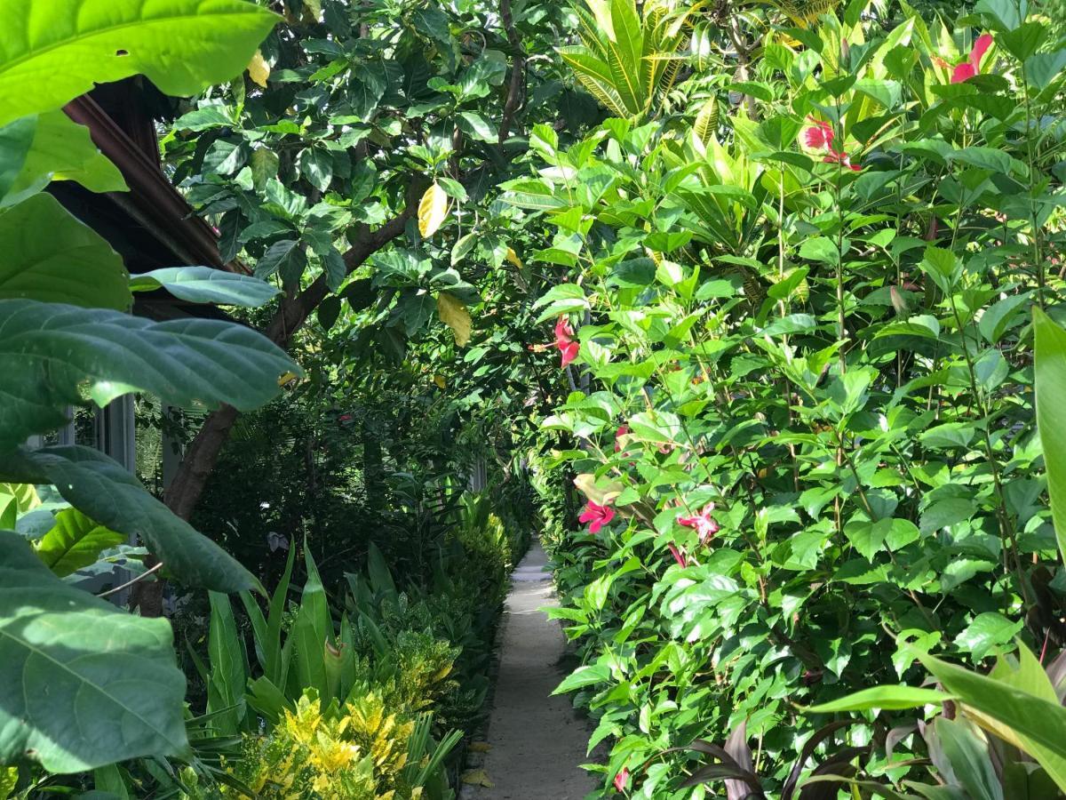 דירות Union  Siargao Residency מראה חיצוני תמונה