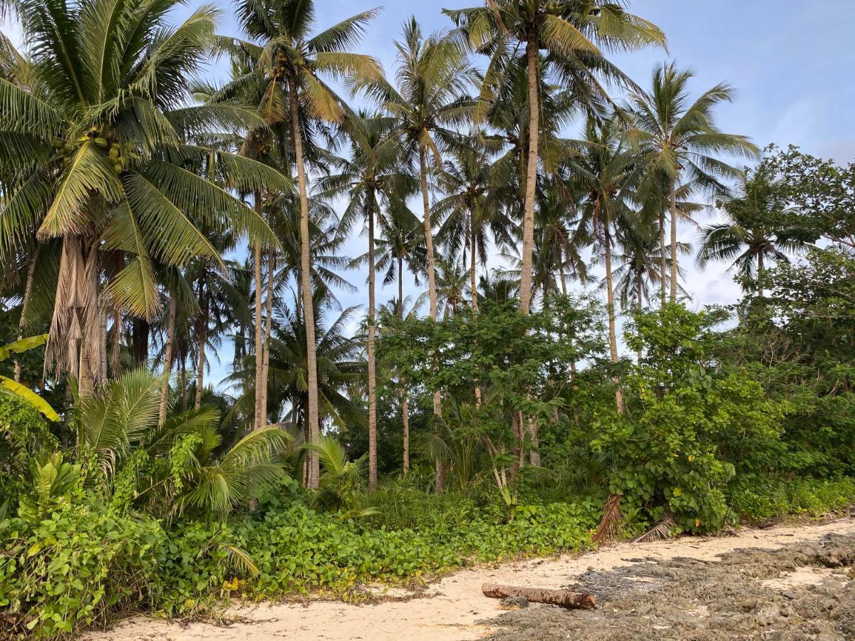 דירות Union  Siargao Residency מראה חיצוני תמונה