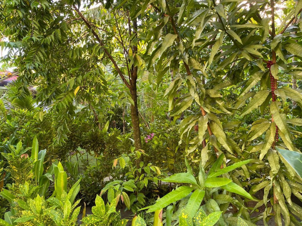 דירות Union  Siargao Residency מראה חיצוני תמונה